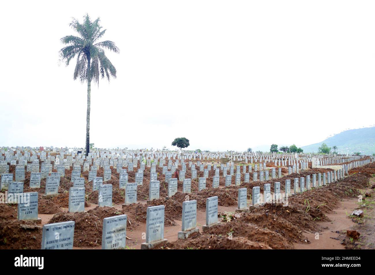 Sierra Leone,graveyard,graves,Ebola pandemic,Ebola,virus,virus outbreak,diseases,disease,bury the dead,Africa,west Africa,burial ground,outbreak,grave Stock Photo