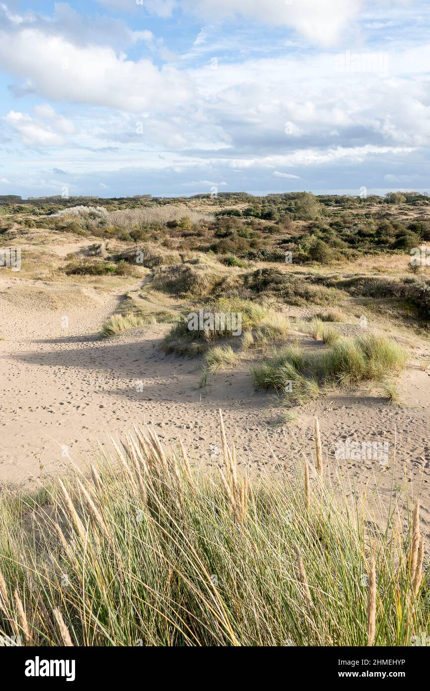 A cote de Bray-Dunes la dune du Perroquet  The parrot dune nearby Bray-Dunes Stock Photo