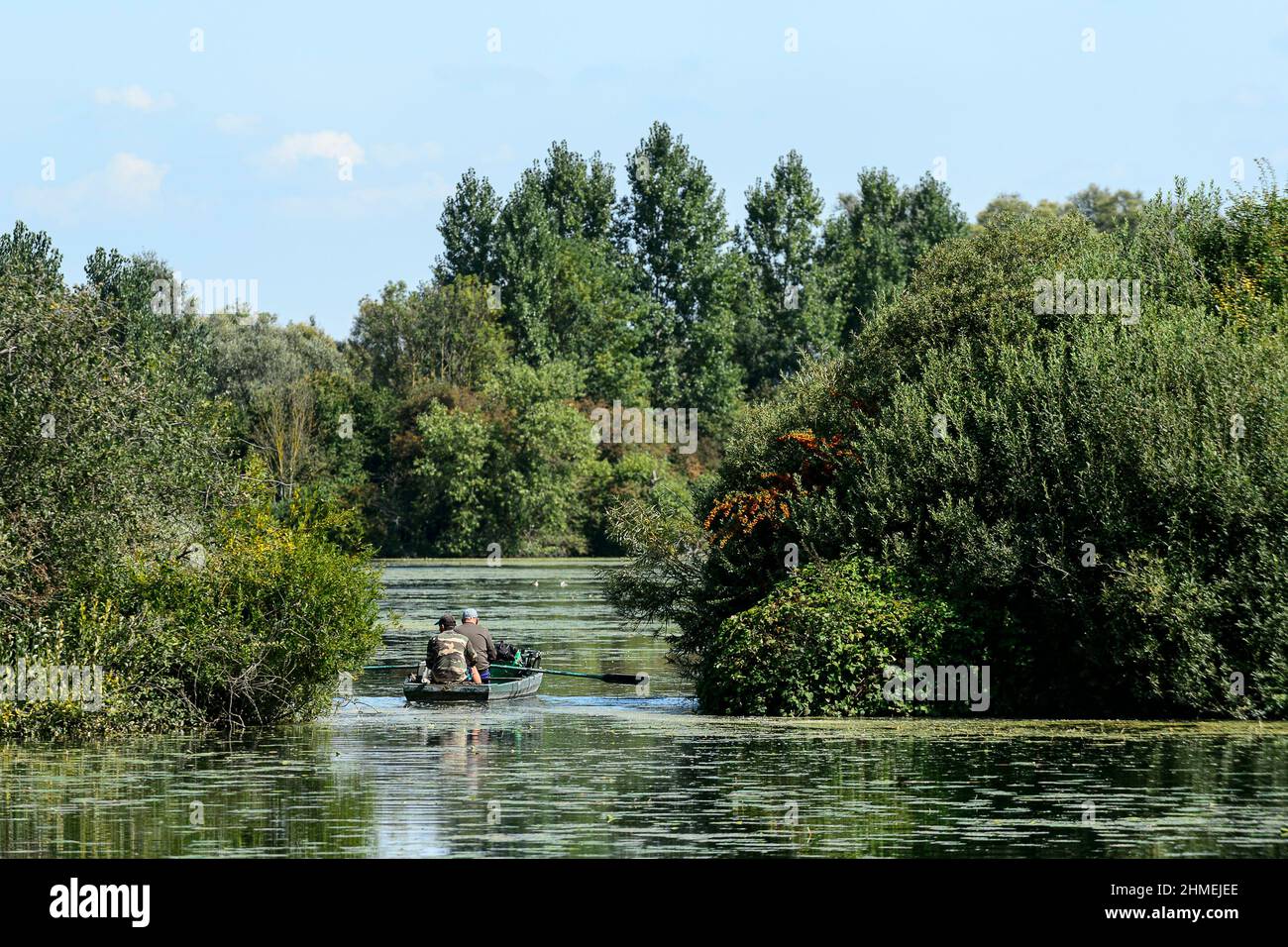 Barque sur le m arais d'Arleux Small boat on the marshes around Arleux Stock Photo