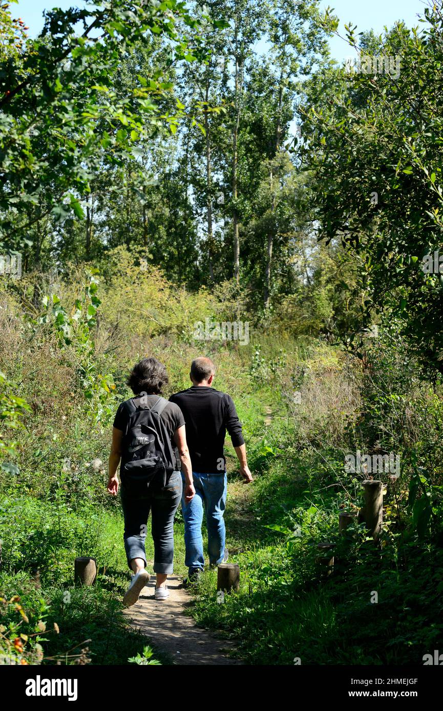 Marais d'Arleux  Marshes around Arleux Stock Photo