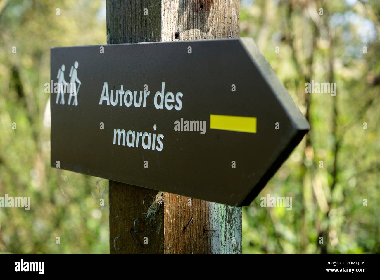 Marais d'Arleux  Marshes around Arleux Stock Photo