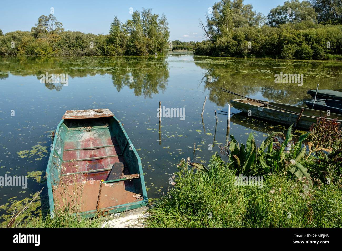 Marais d'Arleux - Barques amarrées à la berge  Marshes around Arleux - Small boat tied on the bank Stock Photo