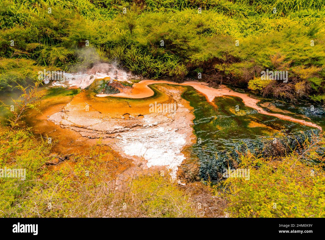 Amazing Waimangu Volcanic Valley in Rotorua Stock Photo - Alamy