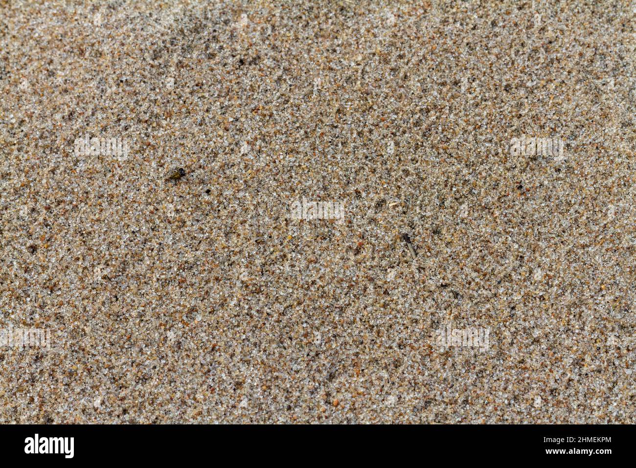 Texture with grainy sand beach Stock Photo