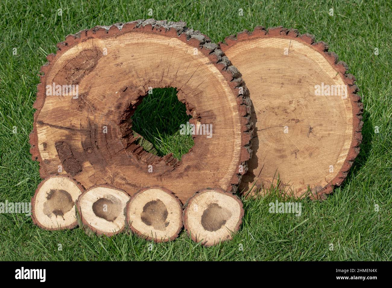 Sawcut pieces of wood on the grass Stock Photo Alamy