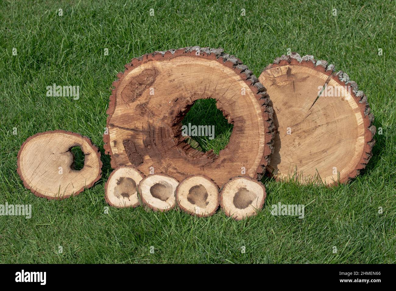 Sawcut pieces of wood on the grass Stock Photo Alamy