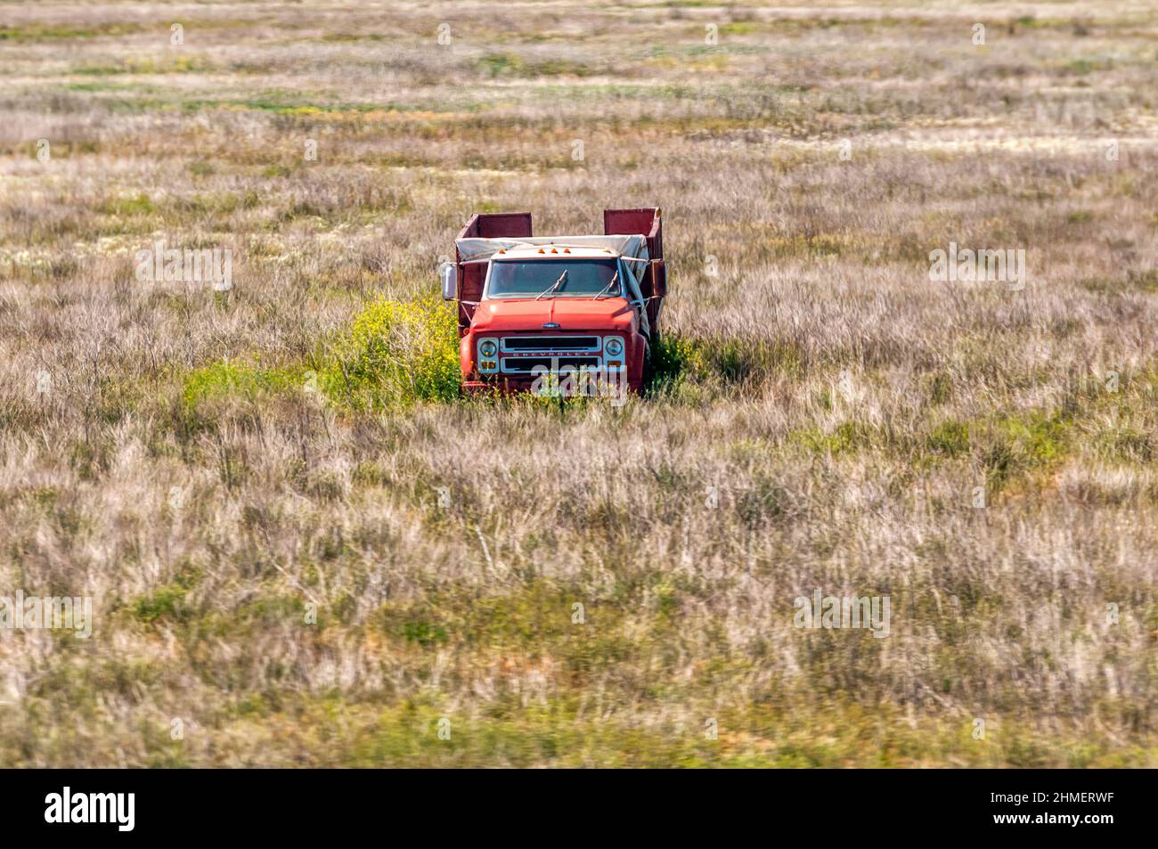 Abandoned Chevrolet truck on grassland in North Dakota, USA. Stock Photo
