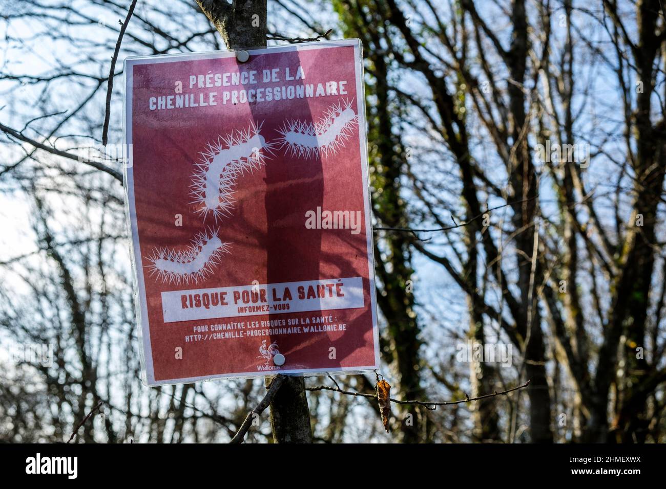 Panneau annoncant la presence de chenille processionnaire  Banner to warn about the presence of the processionary caterpillar Stock Photo