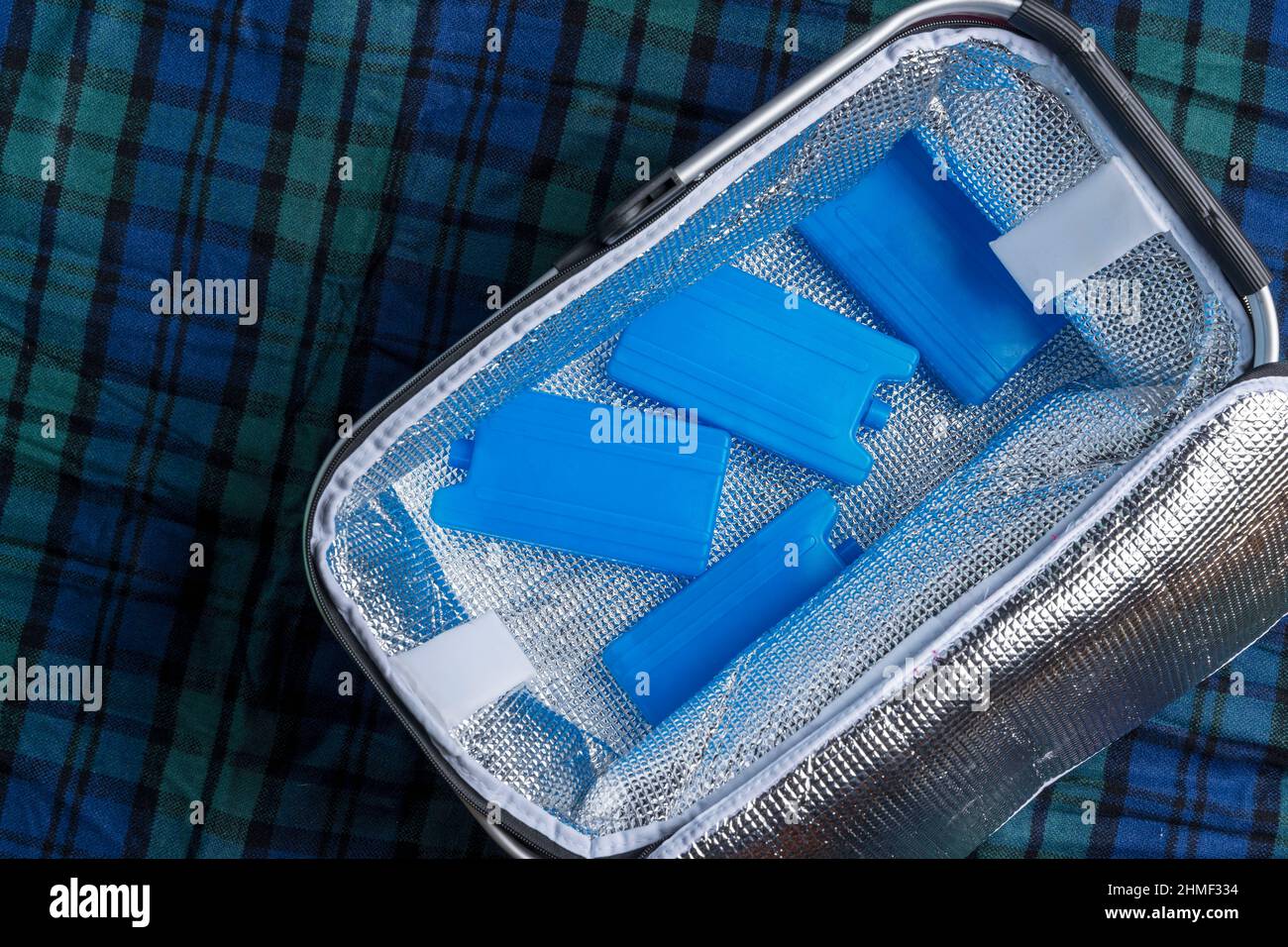 Portable refrigerator bag with cold storage batteries, thermos bag,  refrigerant tanks, ice plates for a refrigerator bag Stock Photo - Alamy