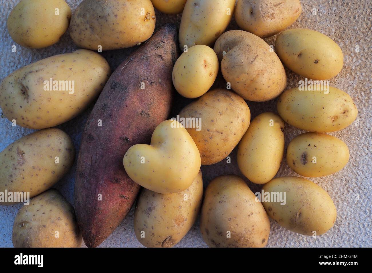 Several potato varieties, vegetables from above, top view, close-up Stock Photo