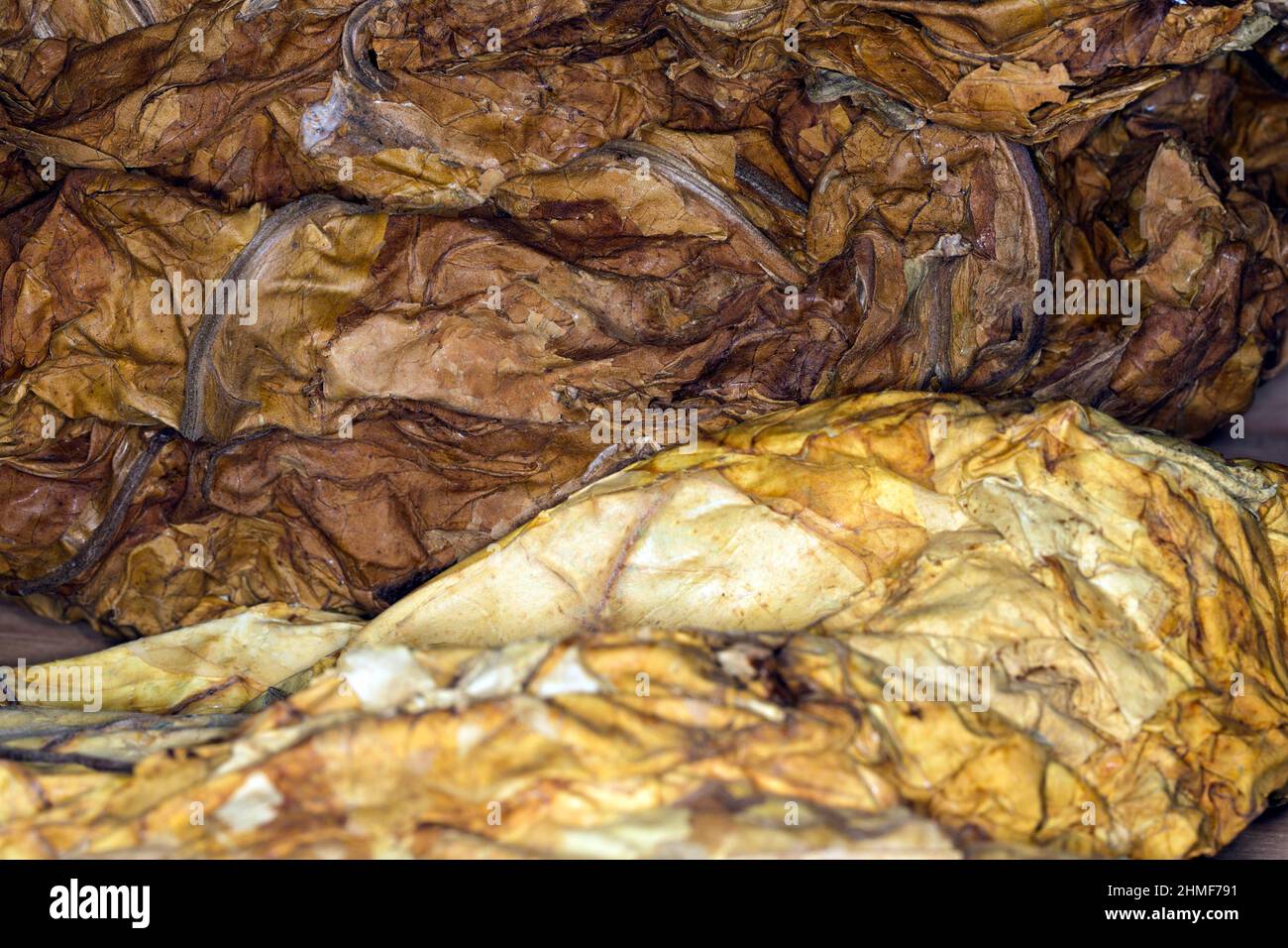 how long will tobacco stay in blood Nicotine Blood, Urine, and Saliva Tests: What to Expect how long will tobacco stay in blood Nicotine Blood, Urine, and Saliva Tests: What to Expect