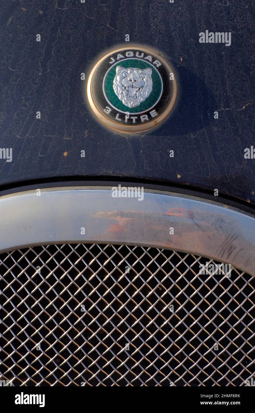 Car radiator grille with Jaguar head and logo, detail view, scrap car