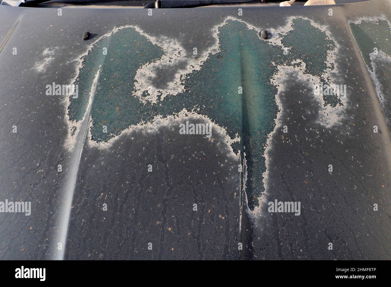 Paint damage due to sun on bonnet, sun exposure on car sheet metal, sunburn on paintwork, detailed view, scrap car, scrap yard, metal recycling Stock Photo