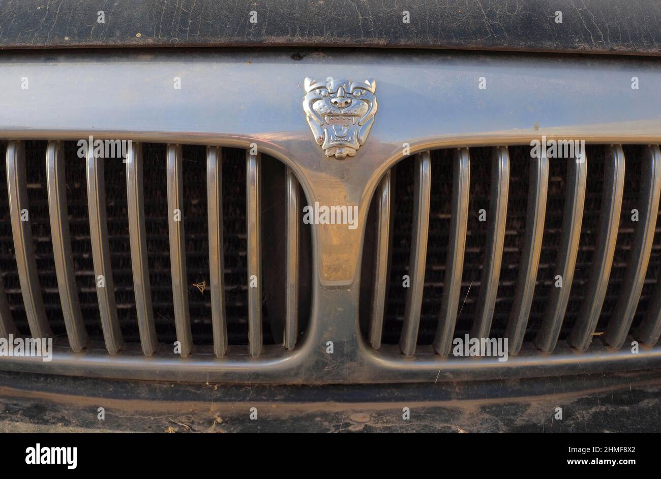 Car radiator grille with Jaguar head and logo, detail view, scrap car