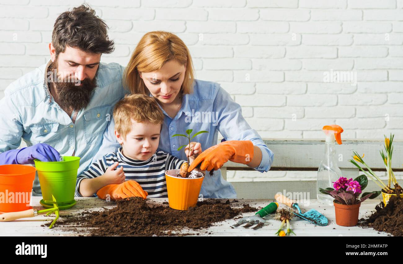 Family Gardening. Child with parents planting flowers. Home garden. Spring time. Care of home plants Stock Photo