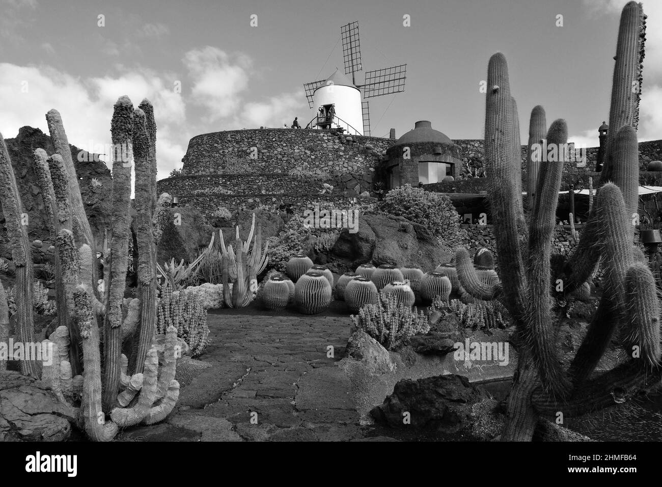 Black and white photograph, Jardin de Cactus, cactus garden in Guatiza, Lanzarote, Spain Stock Photo