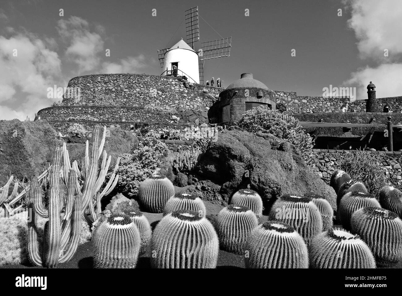 Jardin de Cactus, cactus garden in Guatiza, Lanzarote, Spain Stock Photo