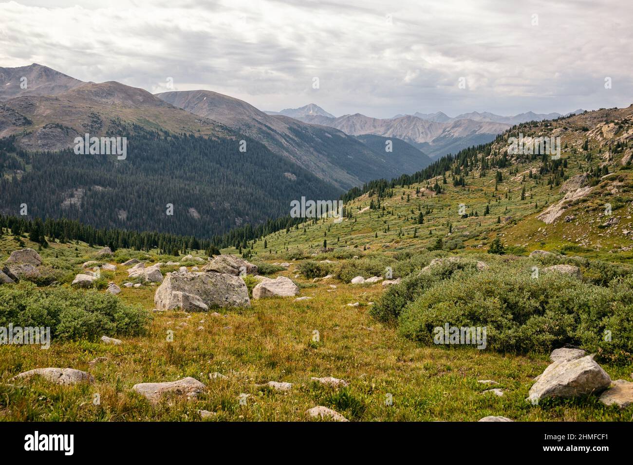 Alpine meadows in the HunterFryingpan Wilderness Stock Photo Alamy