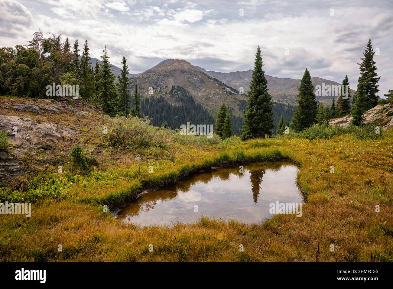 Landscape in the Hunter-Fryingpan Wilderness Stock Photo - Alamy