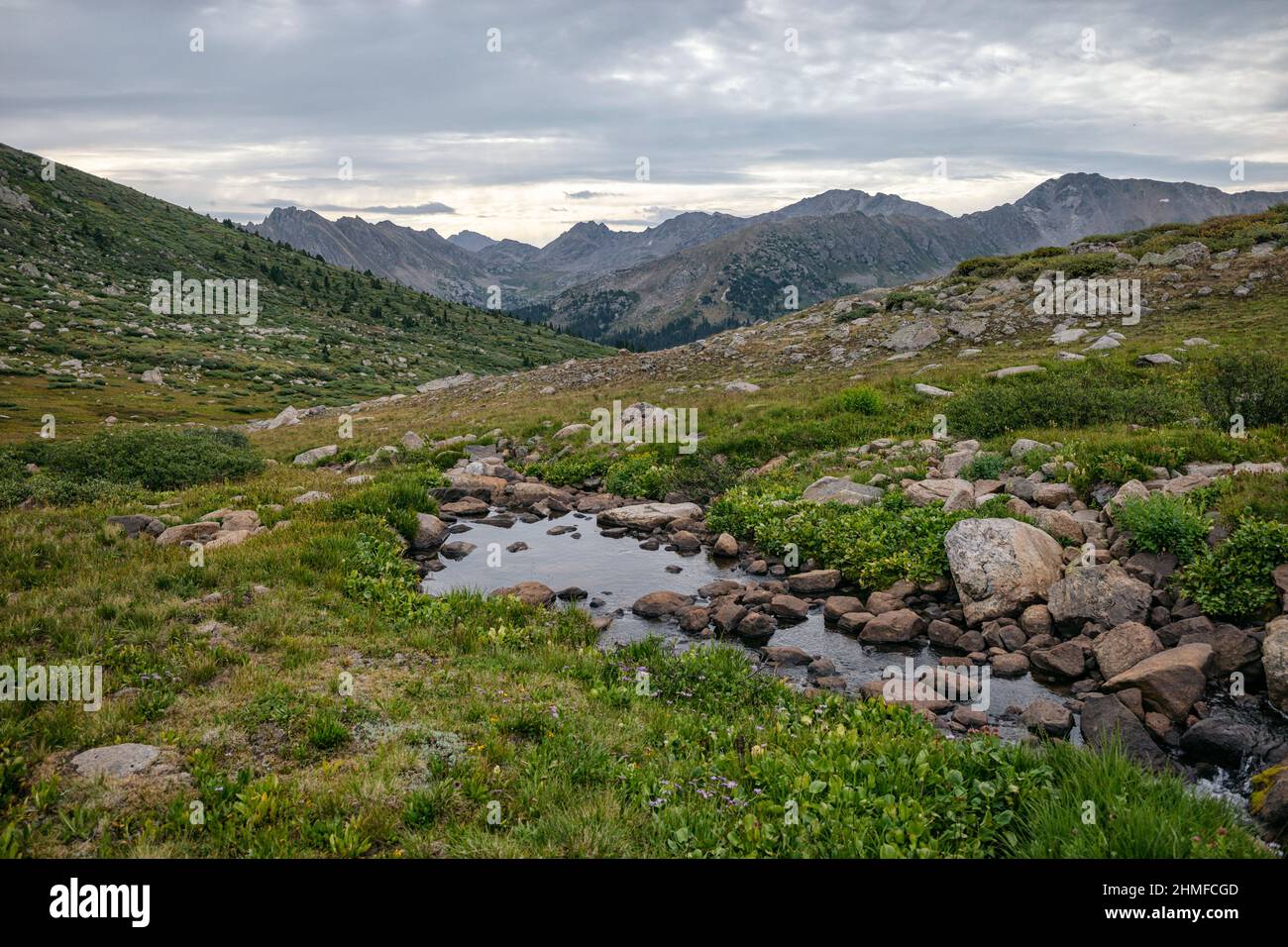 Mountain creek in the HunterFryingpan Wilderness Stock Photo Alamy