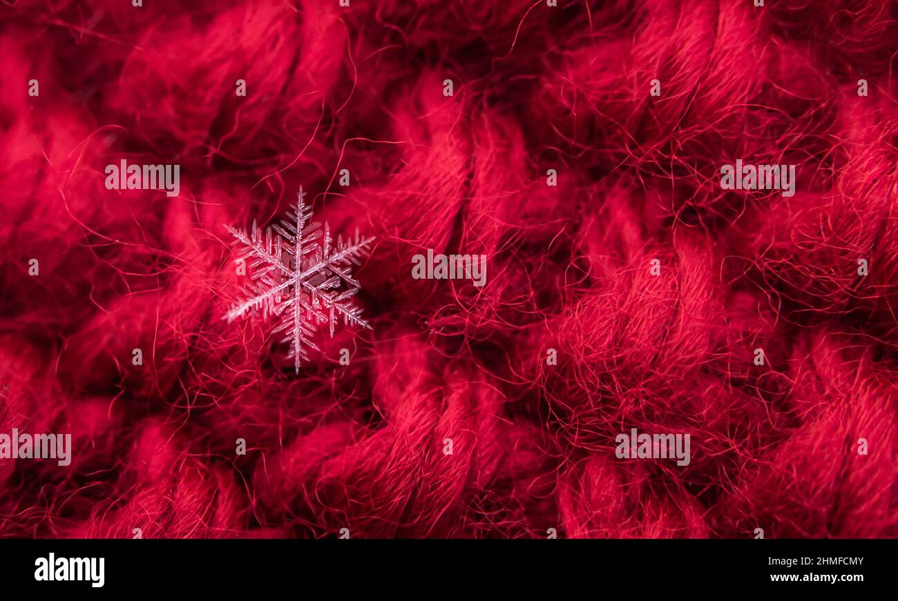White background single snowflake hi-res stock photography and images ...
