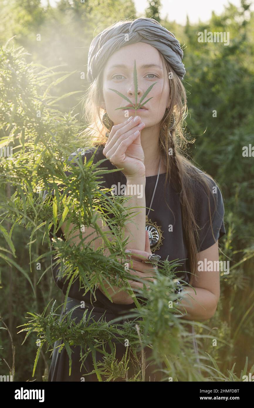 Woman in the Cannabis plant, Girl standing with Marijuana or Hem Stock