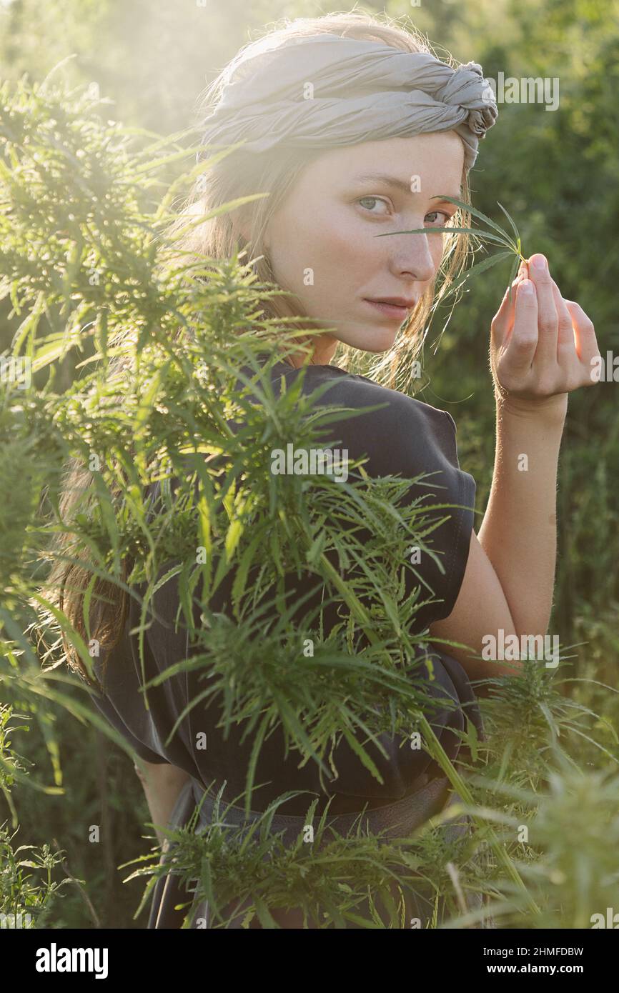 Woman in the Cannabis plant, Girl standing with Marijuana or Hem Stock  Photo - Alamy