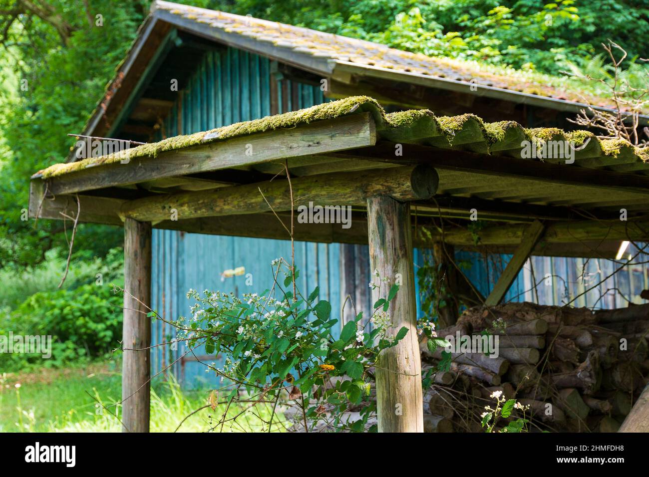 Alte Hütte mit Moos und Gräßern bewachsen Stock Photo
