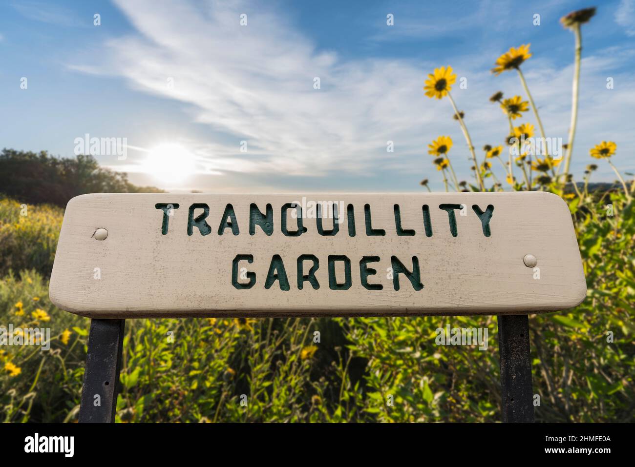 Tranquillity garden sign with yellow flowers and sunrise sky. Stock Photo