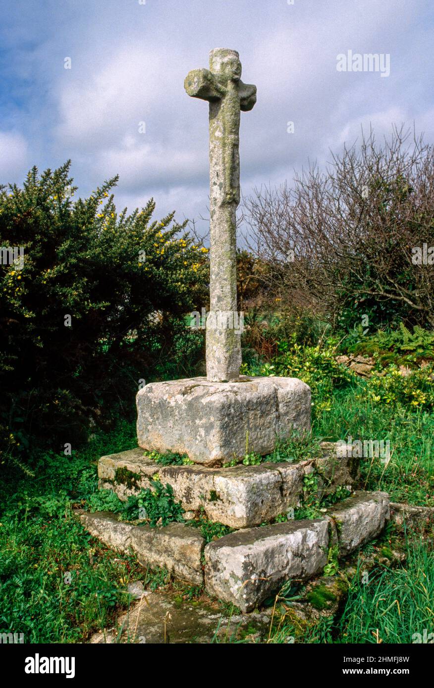 ���ٰ���ß��԰����ܳ� Stock Photo