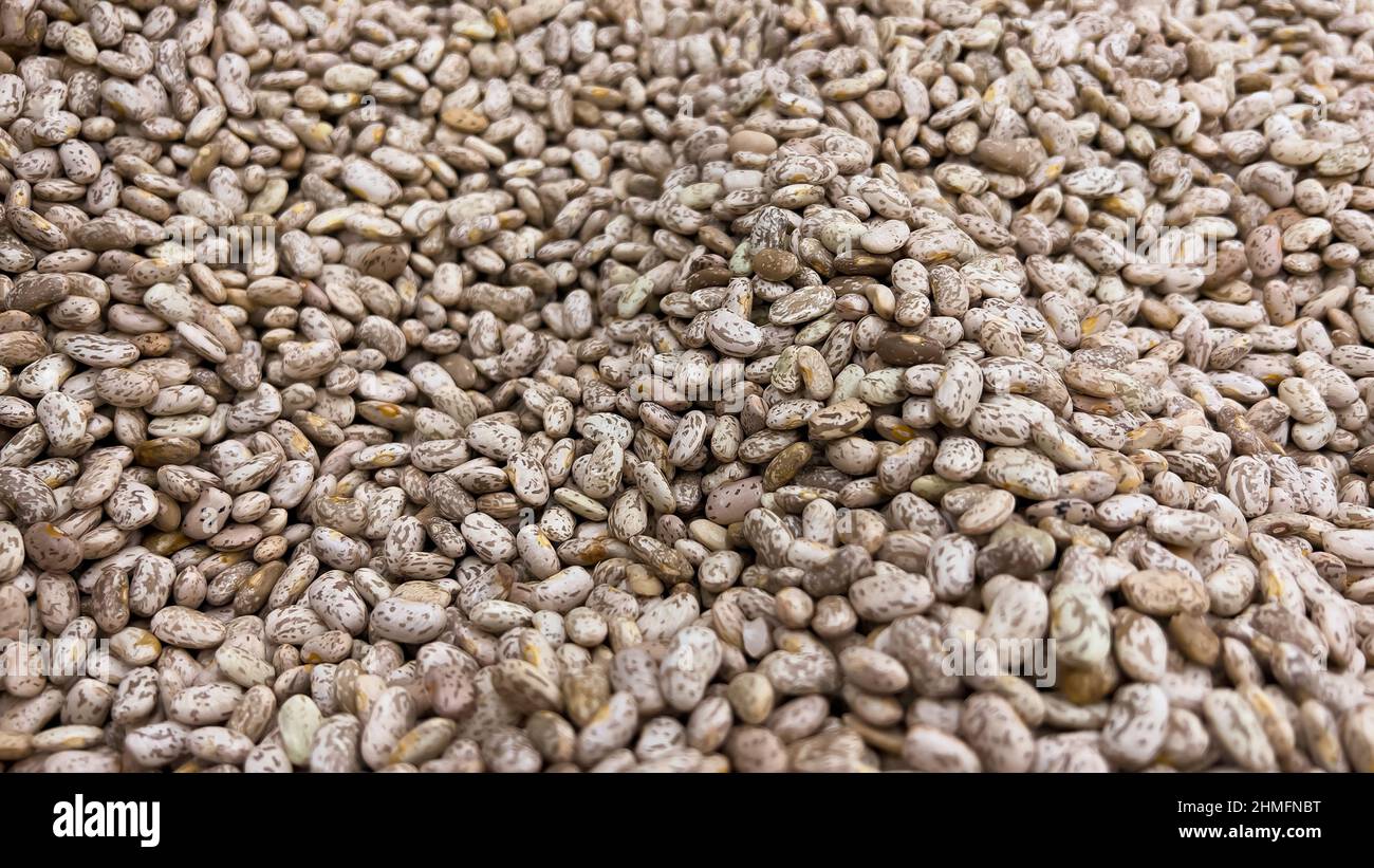 Close up to Pile Pinto beans Buck ,background , Texture and Pattern