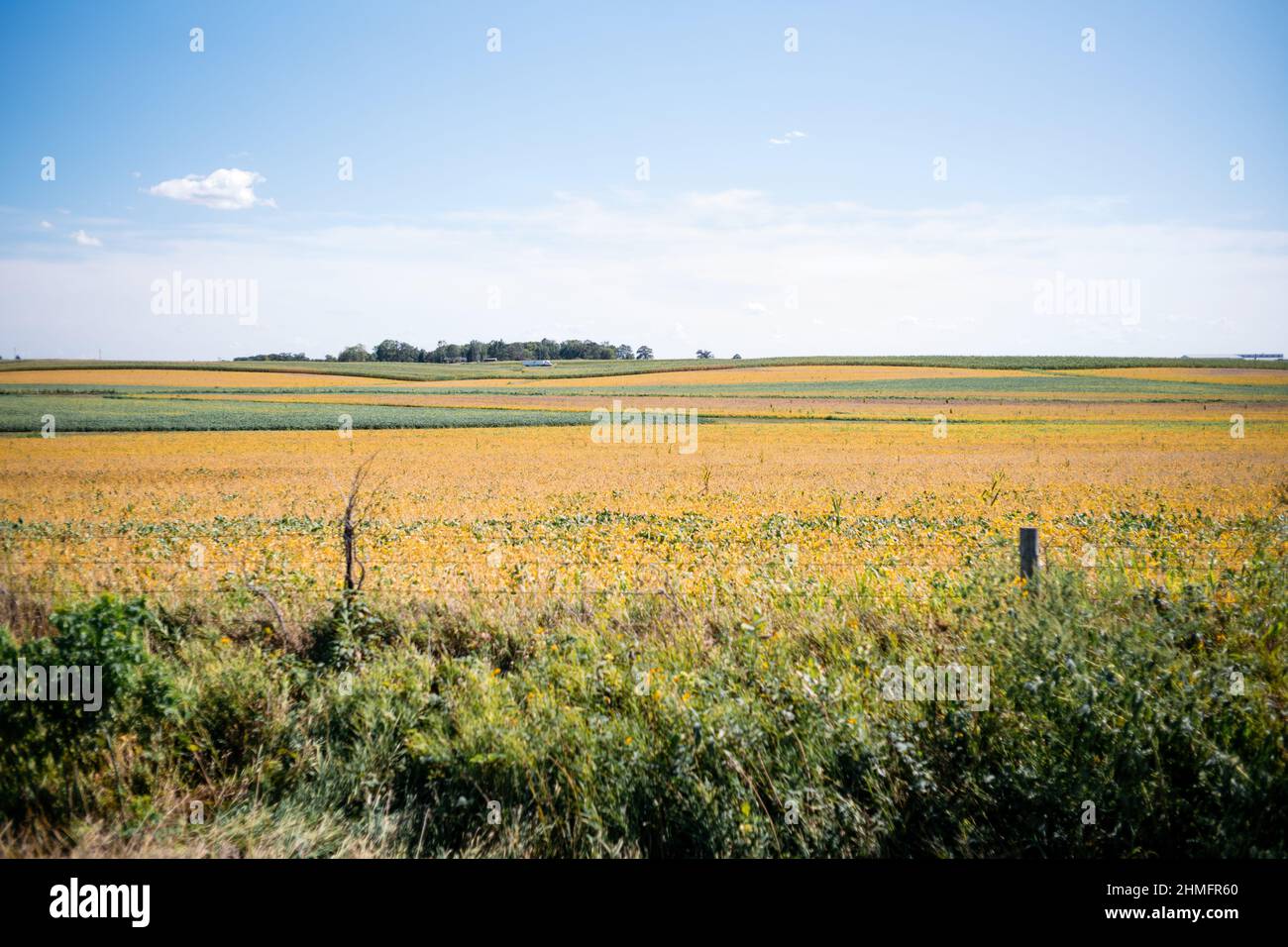 Picturesque landscape, colorful crops farm Stock Photo
