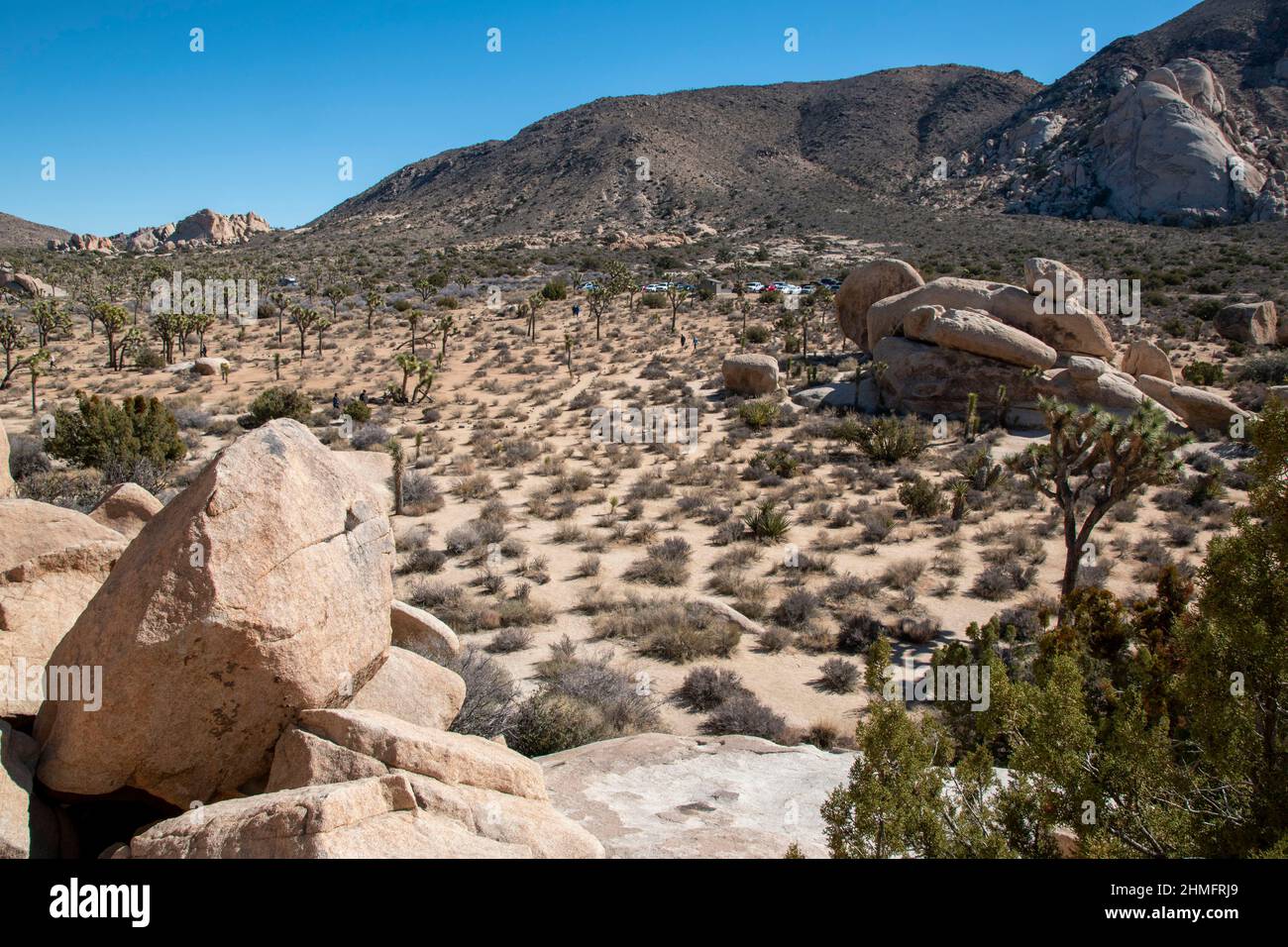 Joshua Tree National Park is home to stunning landscapes filled with