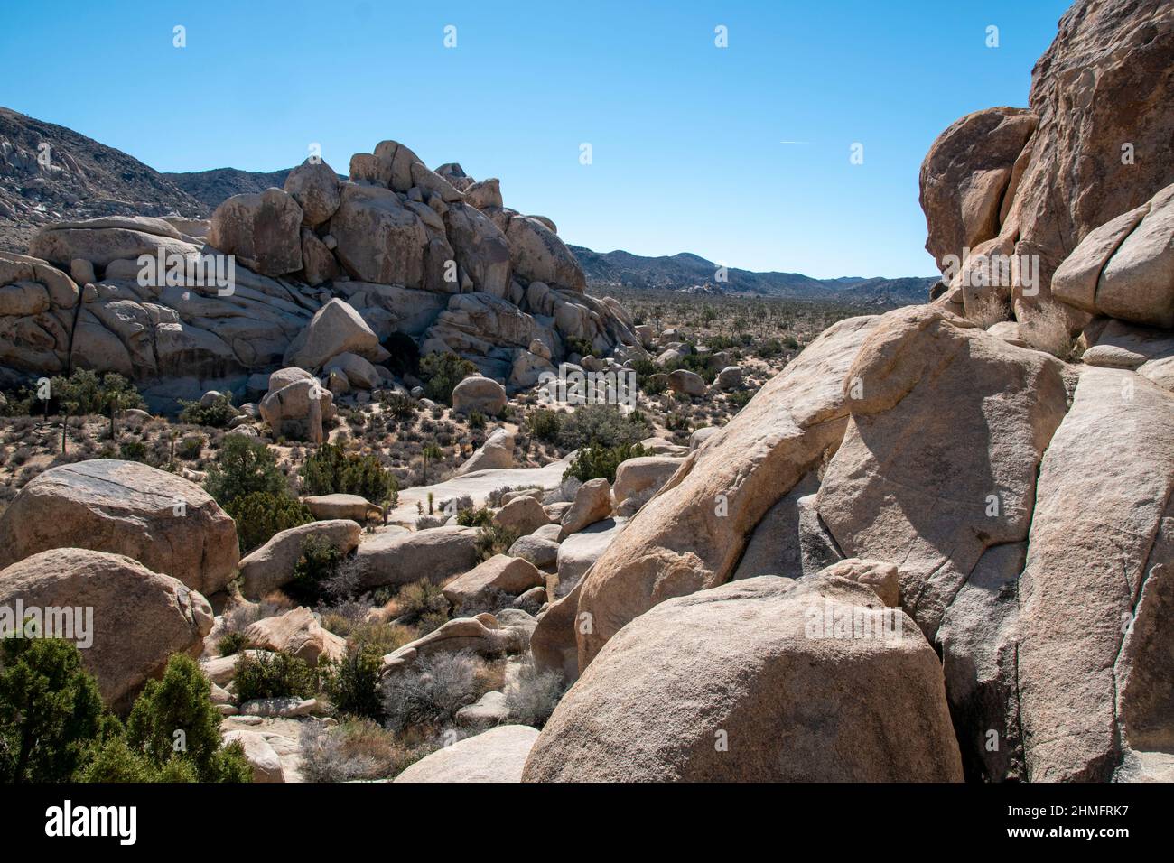 Joshua Tree National Park is home to stunning landscapes filled with