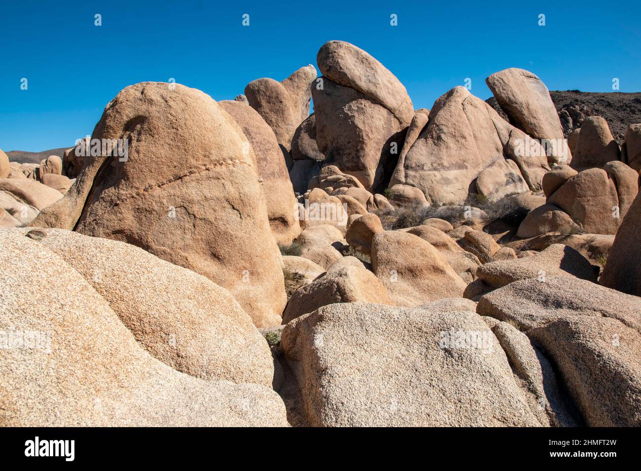 Joshua Tree National Park is home to stunning landscapes filled with