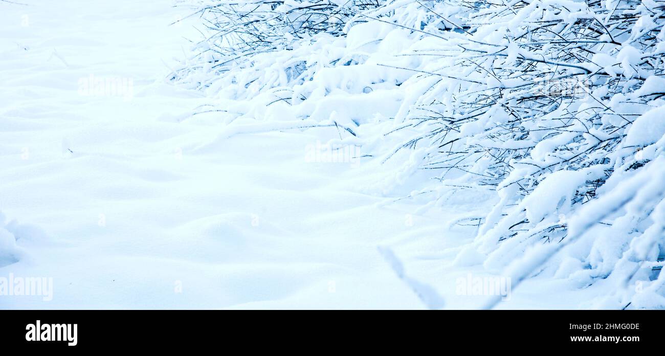 Landscape with trees and snow in Bosnia Stock Photo Alamy