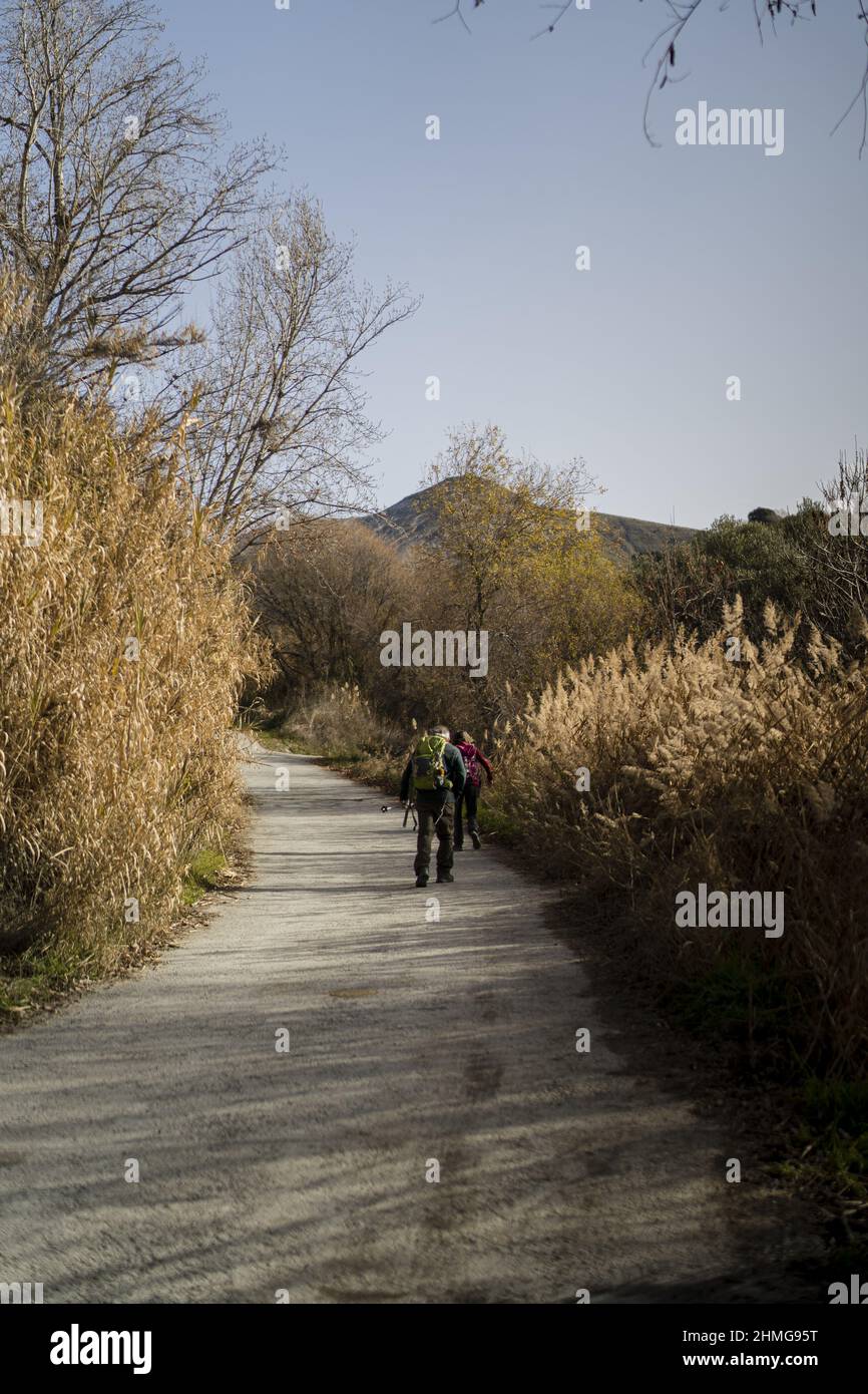 Female hiker hiking path hi-res stock photography and images - Alamy
