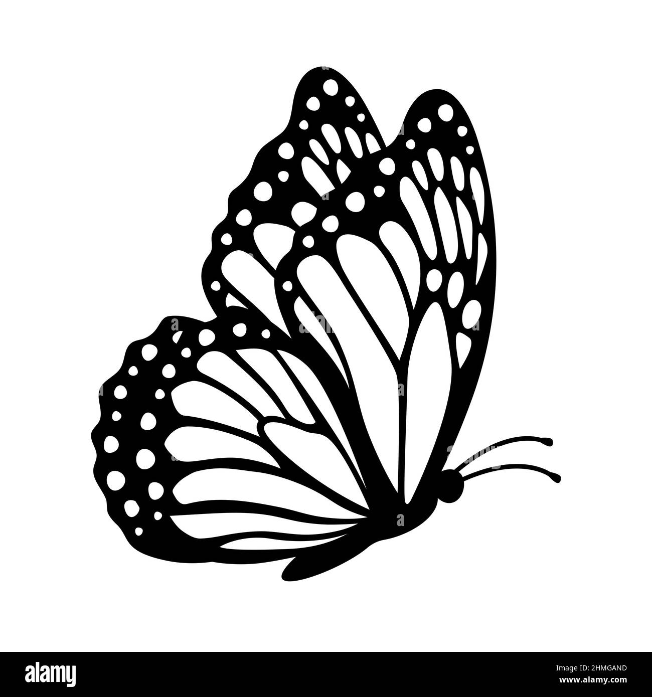 Butterfly silhouette flower Black and White Stock Photos & Images - Alamy