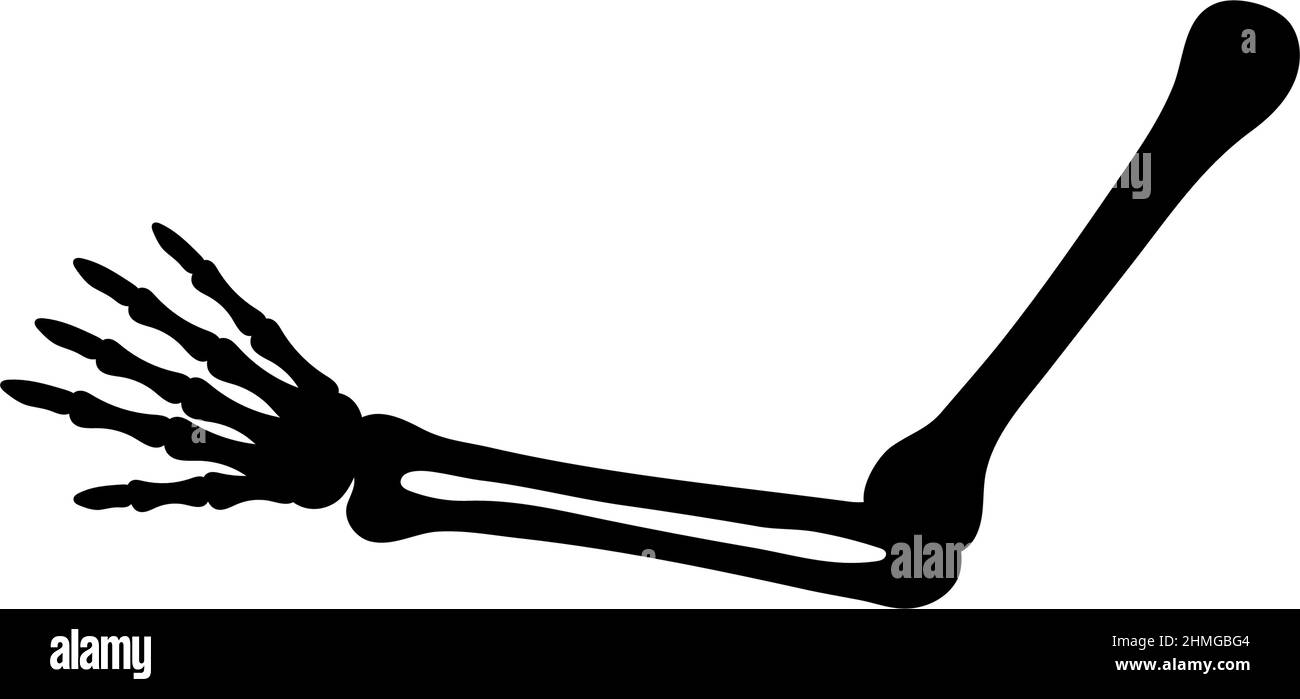 Arm bone icon design template vector isolated Stock Vector Image & Art