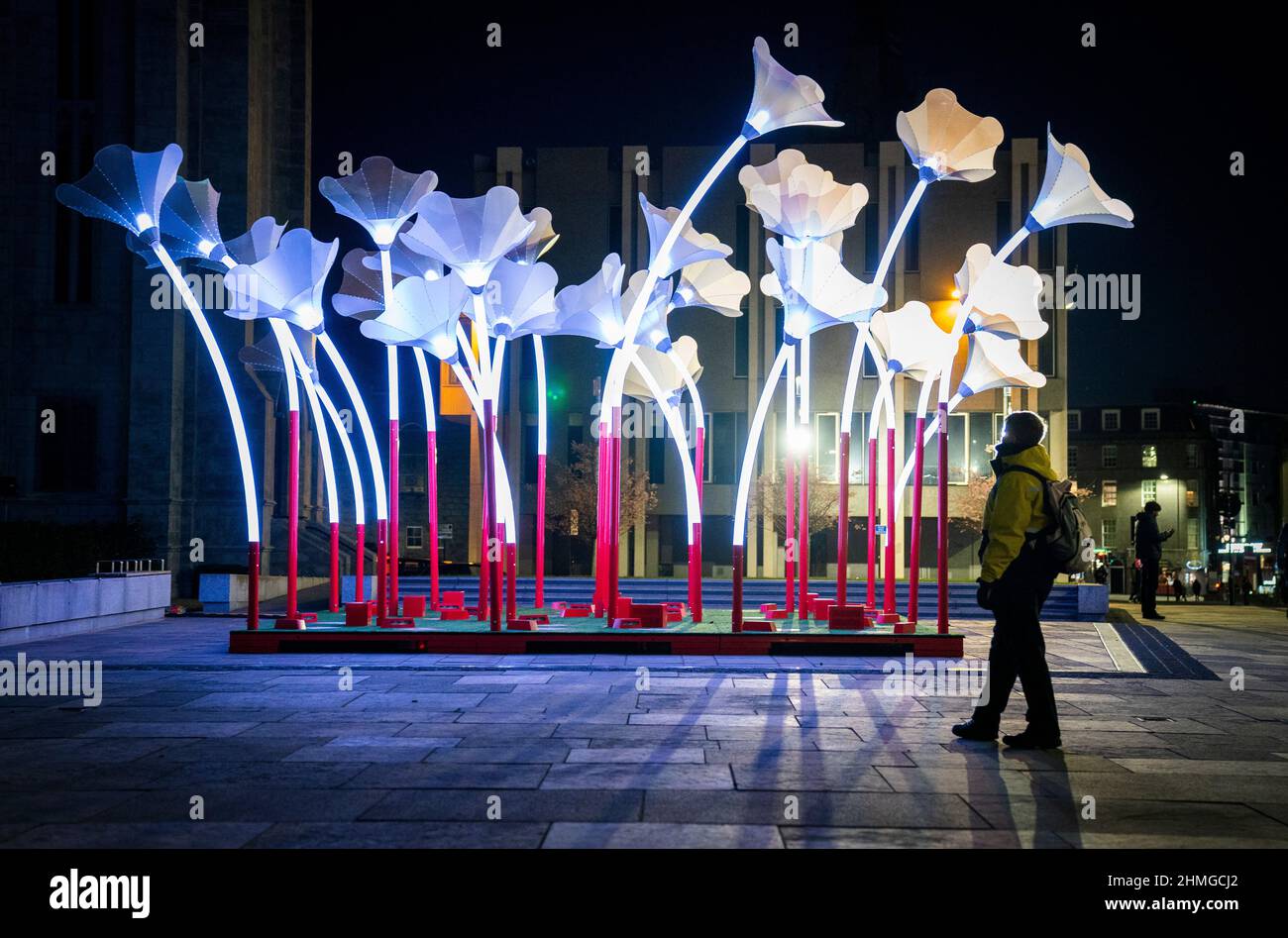 Trumpet Flowers, created by Amigo & Amigo, in Broad Street, Aberdeen