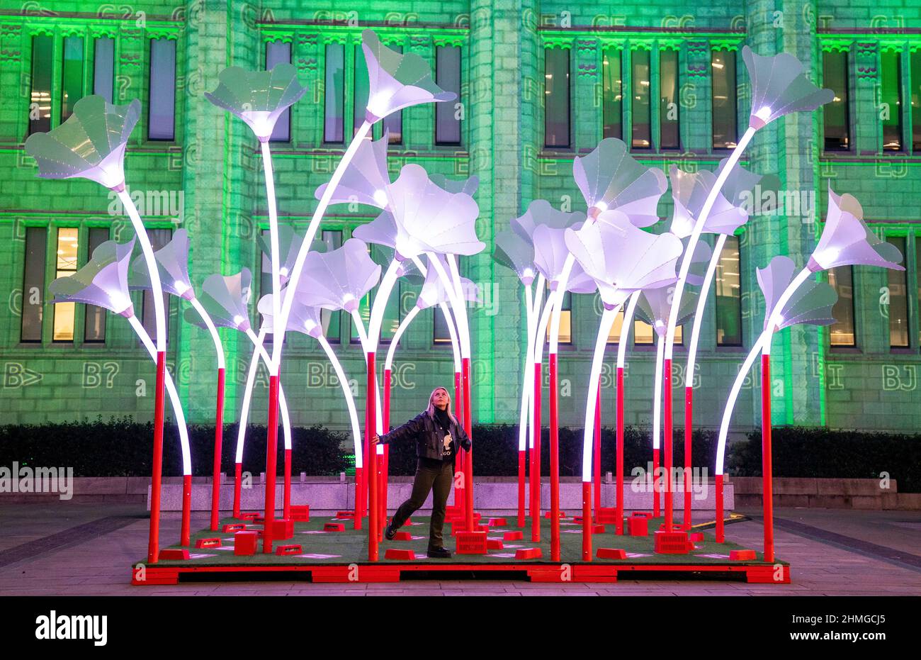 Caitlin Kurtto takes a closer look at the Trumpet Flowers, created by