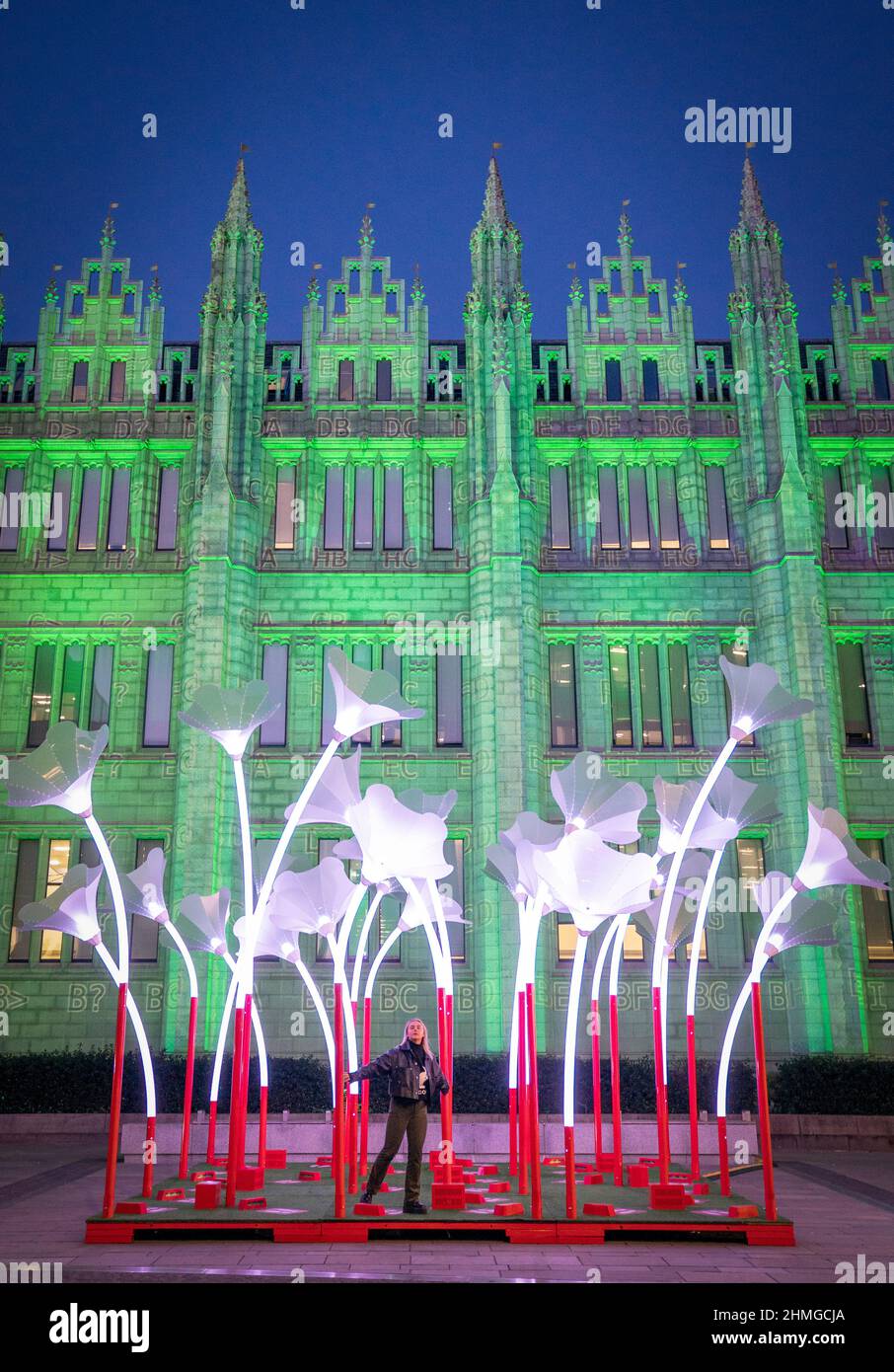 Caitlin Kurtto takes a closer look at the Trumpet Flowers, created by