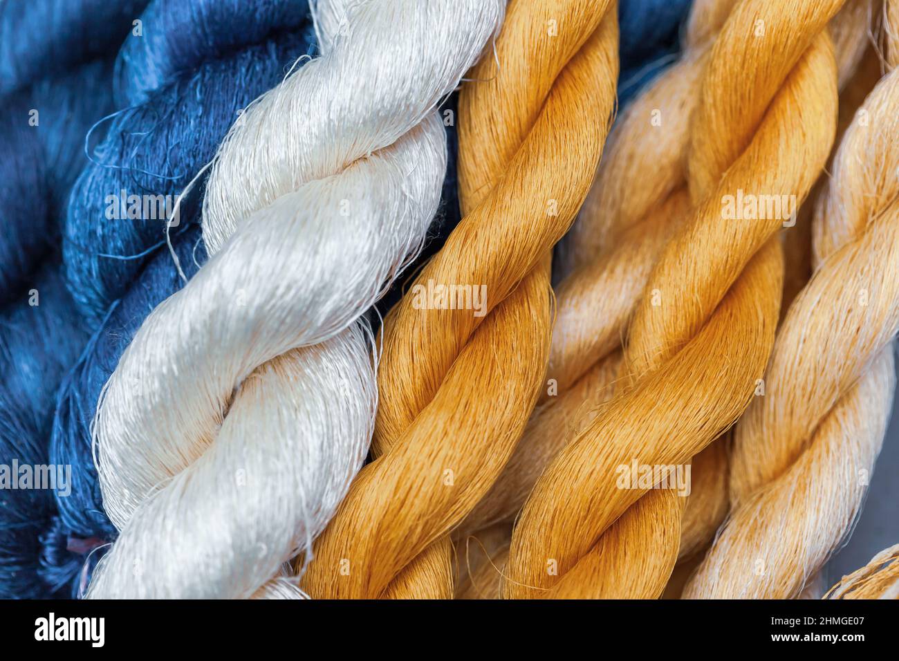 Close-up white, golden, and blue fiber of silk extracted from silk cocoons of the larvae of the mulberry silkworm. Mulberry silk fiber. Top view. Stock Photo
