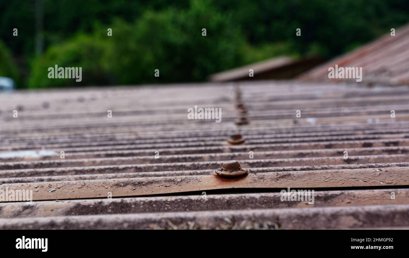 Lead head nails in a line on a rusty corrugated iron roof Stock Photo