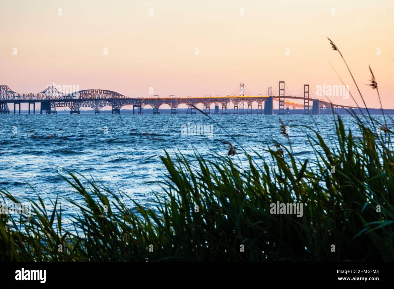 Sea grasses frame the Chesapeake Bay Bridge over Maryland's Chesapeake Bay. Stock Photo