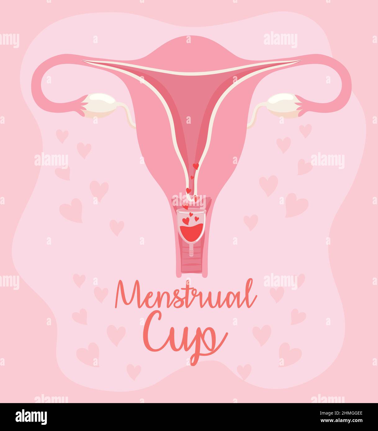 menstrual cup in uterus Stock Vector Image & Art Alamy
