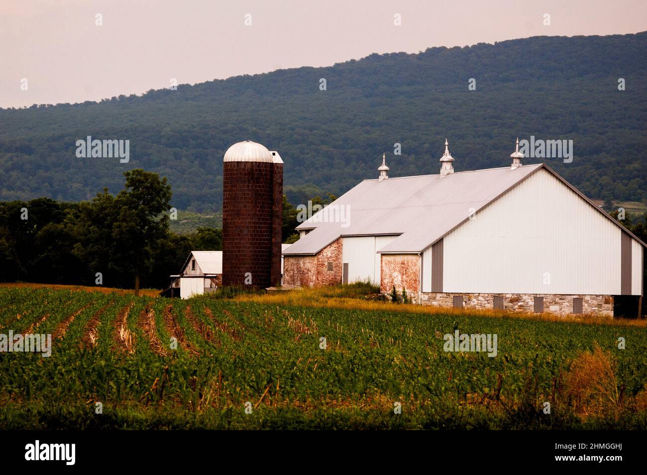 Large white barn on a farm in Midvale, Frederick County Maryland