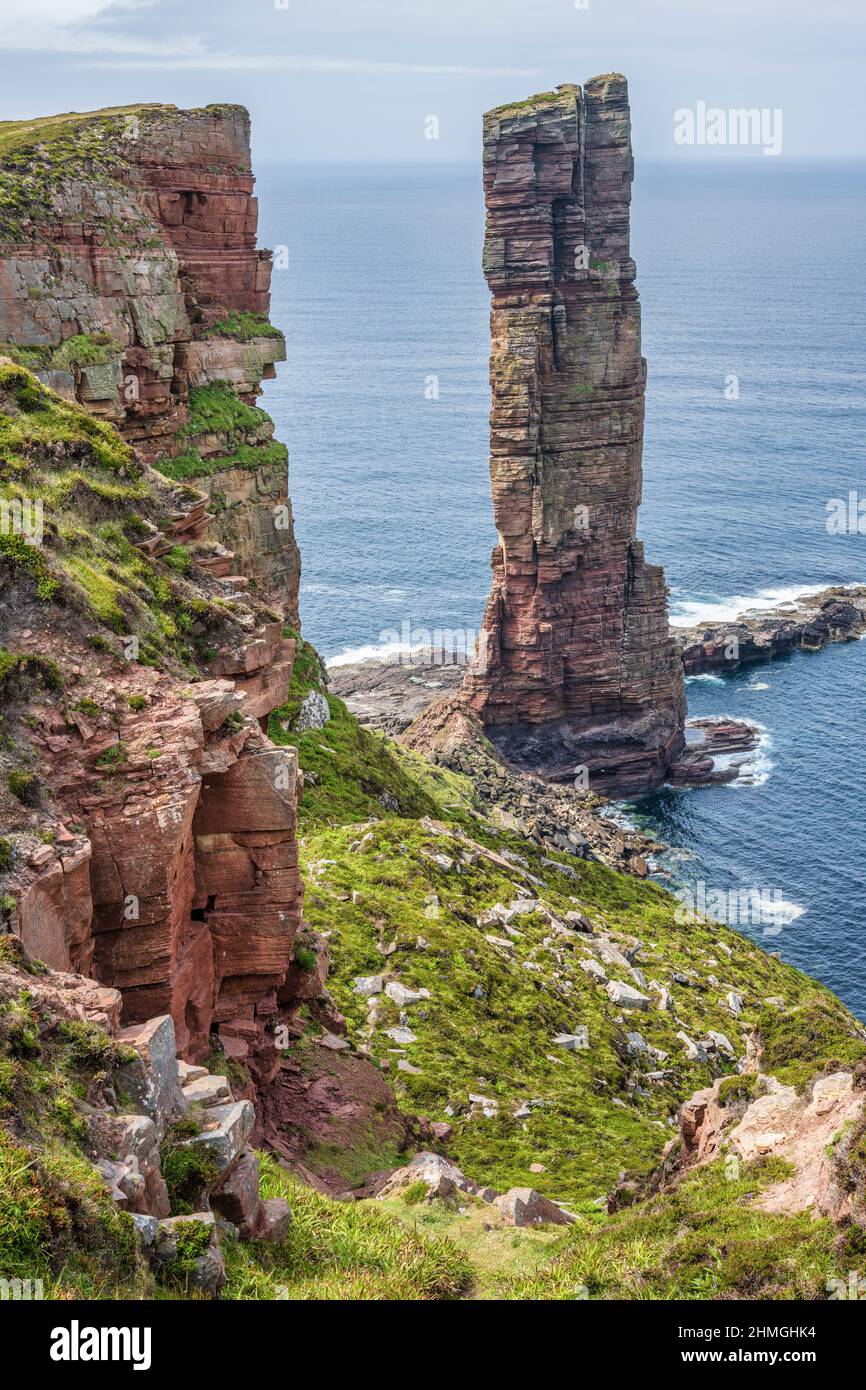 Old Man of Hoy viewed from the north, Isle of Hoy, Orkney, Scotland, UK Stock Photo