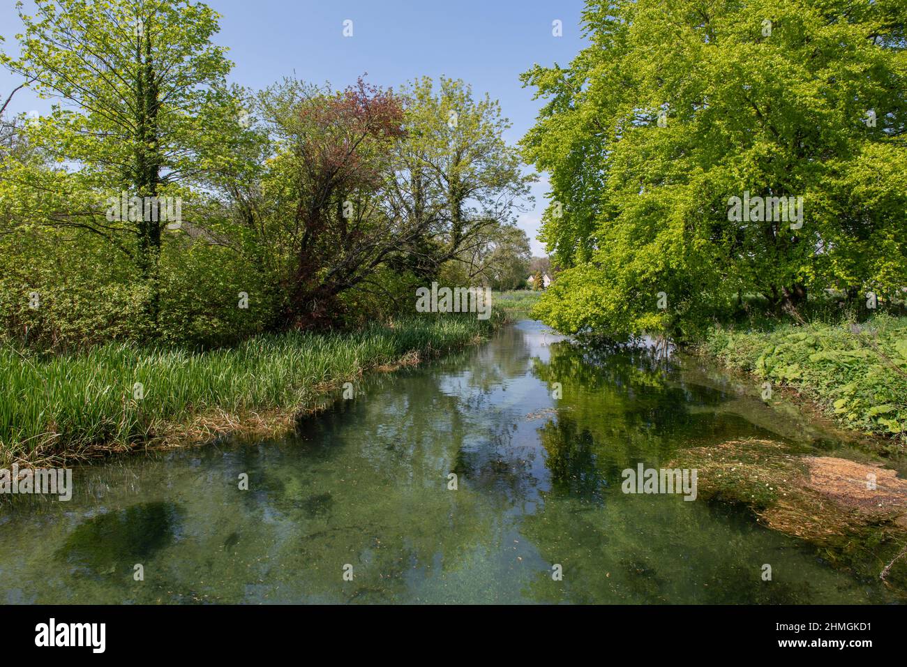 The river Hull (West Beck) near Bell Mills Garden Centre in Driffield, East Yorkshire. Stock Photo