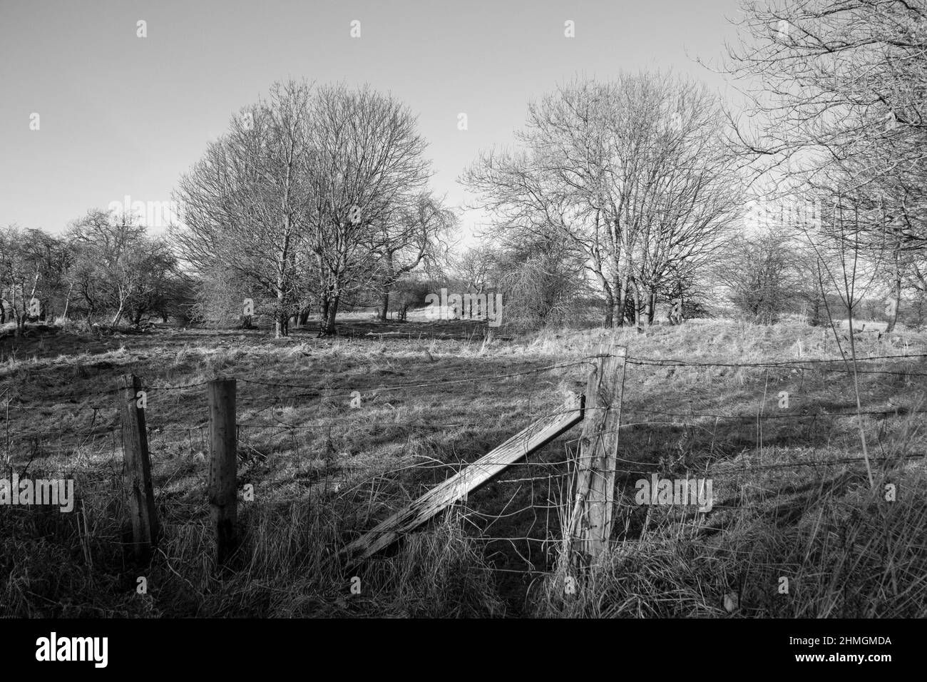 Winter landscape in black and white Stock Photo - Alamy